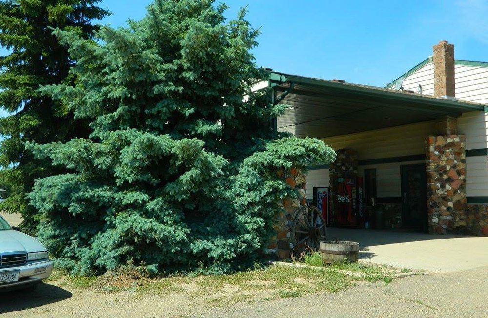 Rodeway Inn Gateway To Medora T-Roosevelt & Makoshika State Park Wibaux Exterior photo